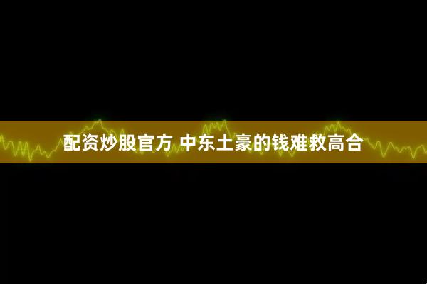 配资炒股官方 中东土豪的钱难救高合