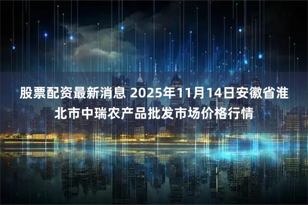 股票配资最新消息 2025年11月14日安徽省淮北市中瑞农产品批发市场价格行情